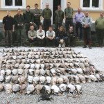 Sweden Waterfowl Hunting Bag Limits