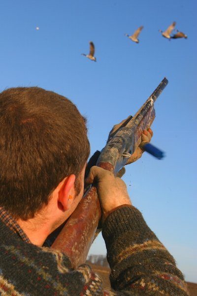 Sweden Waterfowl Hunting Guided Tours