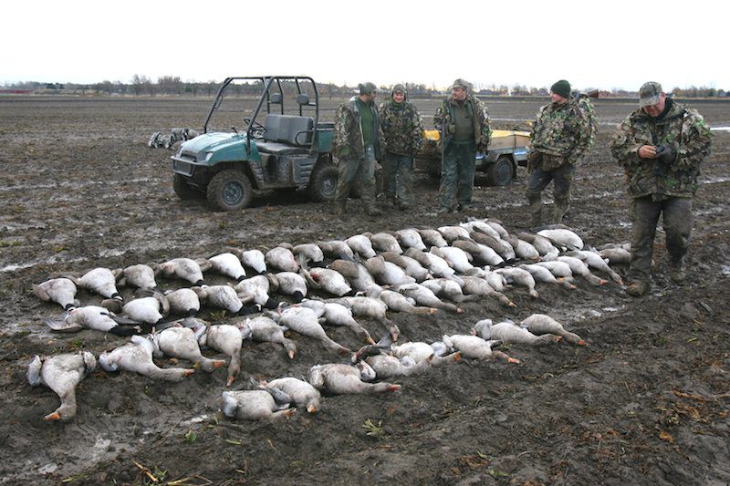 Sweden Waterfowl Hunting Tours