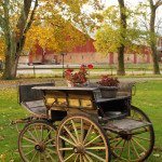 Sweden Waterfowl Hunting Lodges