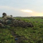 Sweden Waterfowl Hunting Species