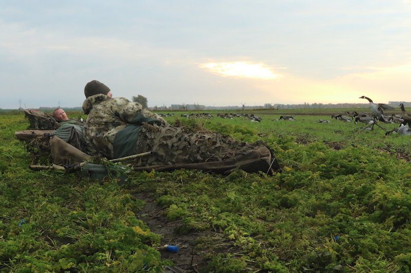 Sweden Waterfowl Hunting Species