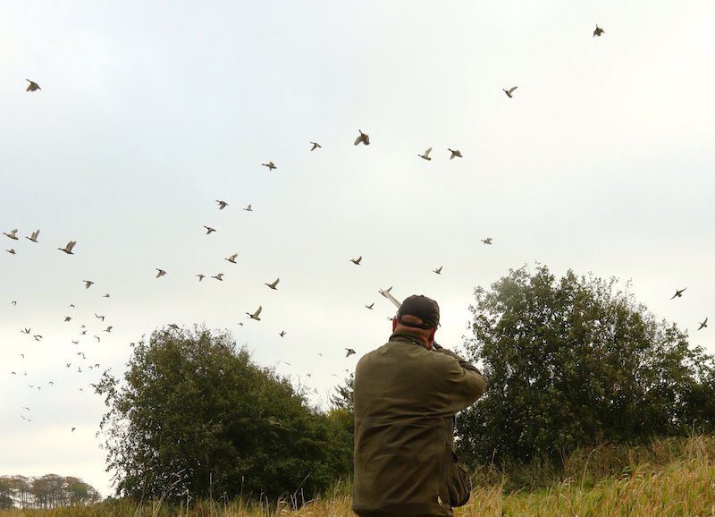 Sweden Waterfowl Hunting Outfitters