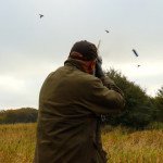 Guides for Goose Hunting in Sweden