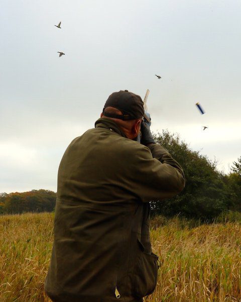 Guides for Goose Hunting in Sweden