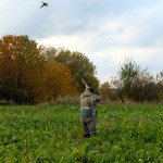 Goose Hunting in Sweden Bag Limits