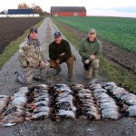 Best Guided Goose Hunting in Sweden