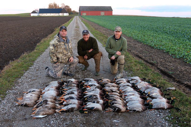Best Guided Goose Hunting in Sweden