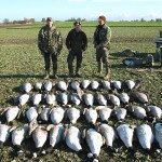 Top Rated Sweden Goose Hunting