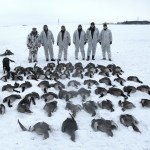 Top Sweden Goose Hunting