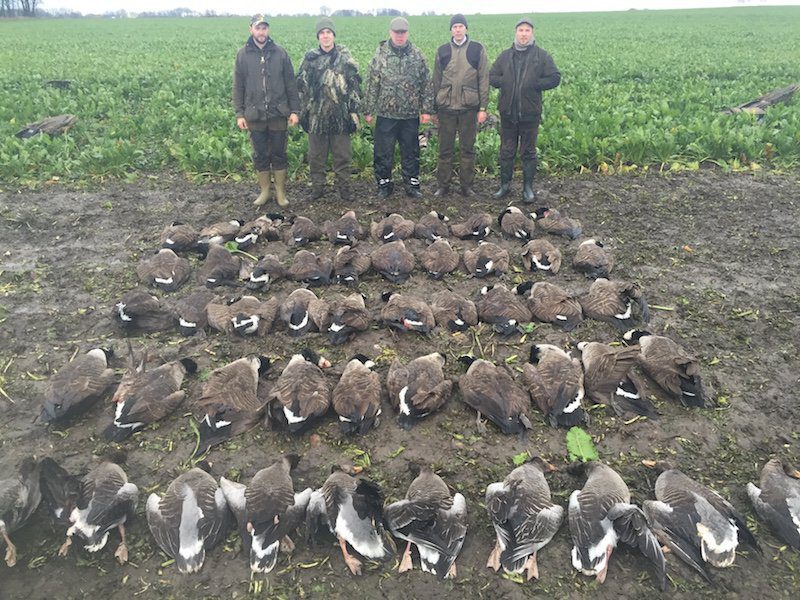 Sweden Goose Hunting Adventures
