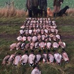 Sweden Goose Hunting