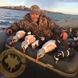 king eider hunt