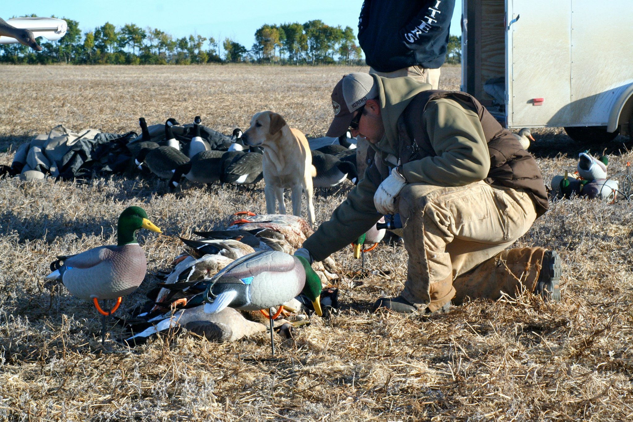 GUIDED DUCK AND CANADA GOOSE HUNTING 35764_o Ramsey Russell's