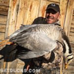 Bar Headed Goose Hunt Mongolia