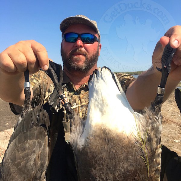 mexico brant hunting