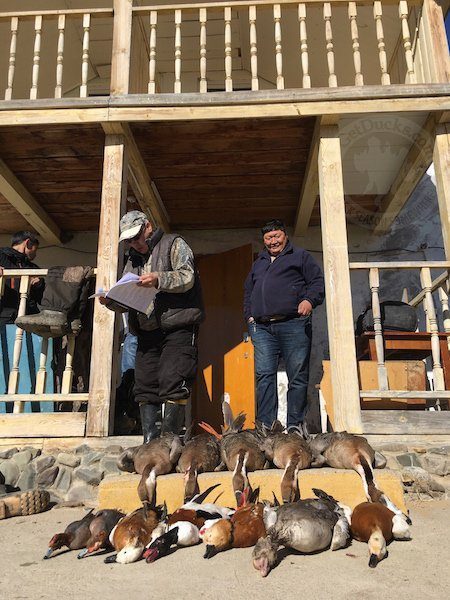 Mongolia Duck and Goose Hunting