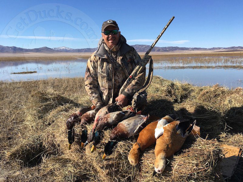 Mongolia Waterfowl Hunting Experiences