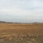 Mongolia Waterfowl Hunting Locations