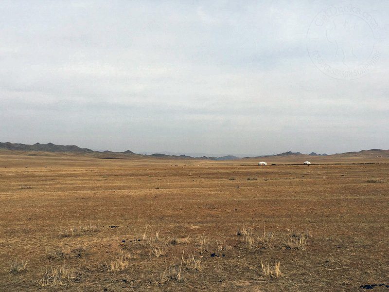 Mongolia Waterfowl Hunting Locations