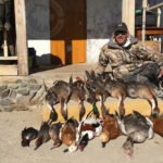 Mongolia Waterfowl Hunting
