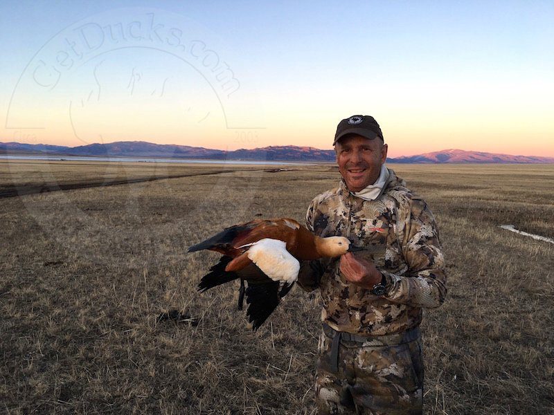 Mongolia Duck Hunting Scenes