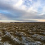 Mongolia Duck Hunting Guided Tours