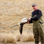 Mongolia Bar Headed Goose Hunting