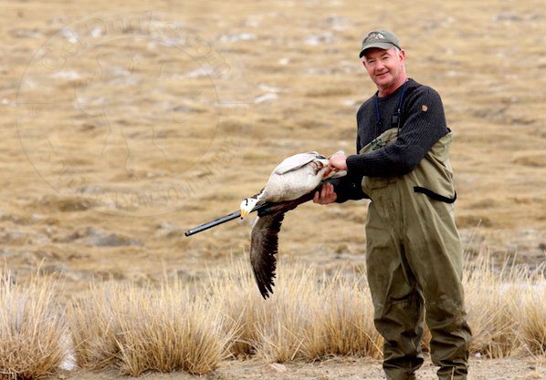 Mongolia Bar Headed Goose Hunting