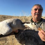 Mongolia Bar Headed Goose Hunting