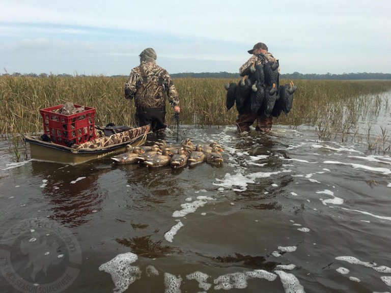Australia Duck Hunting 4629 Ramsey Russell's