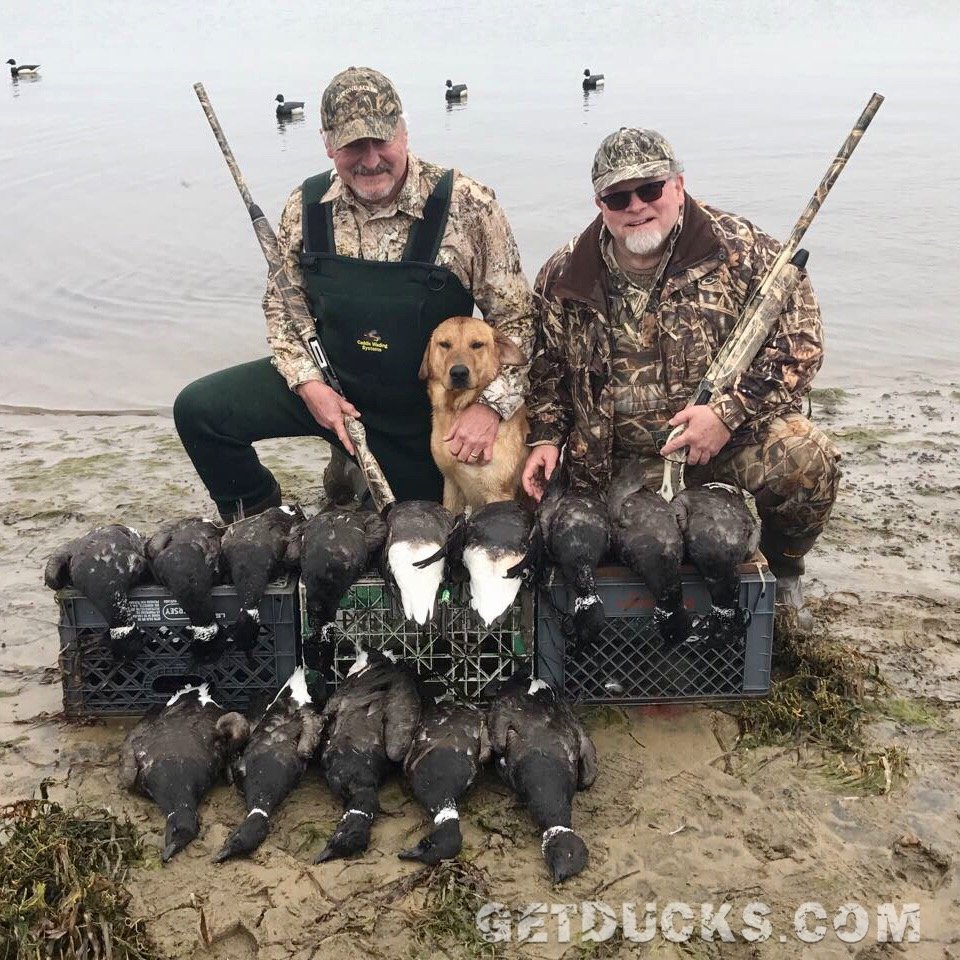 brant hunting Mexico