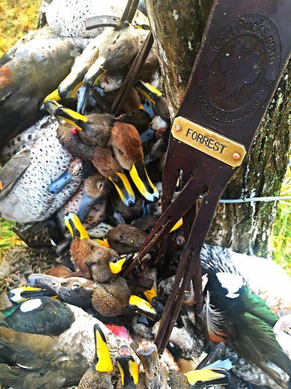 Best Las Flores Argentina Duck Hunt Guides