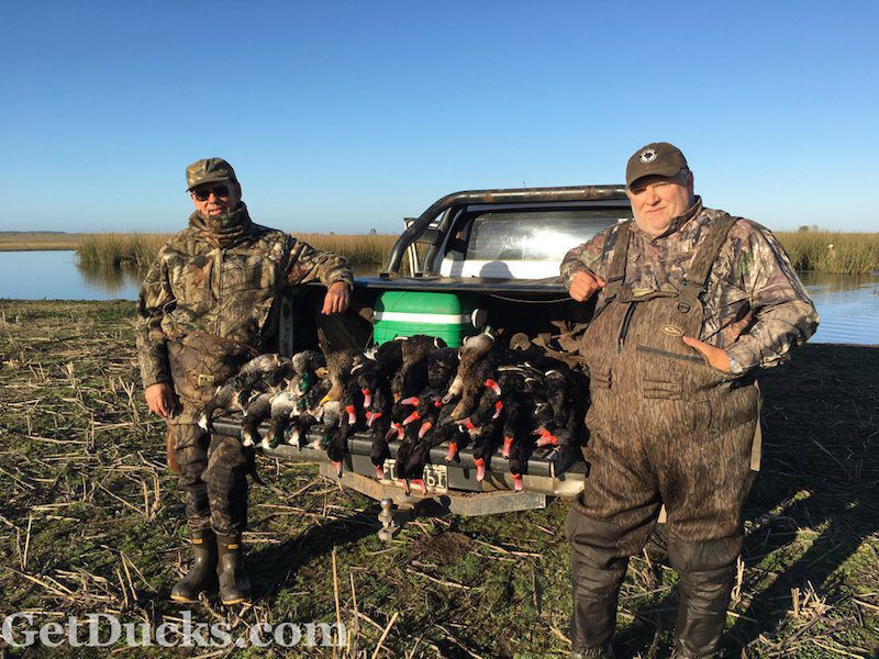 Las Flores Argentina Duck Hunting tips