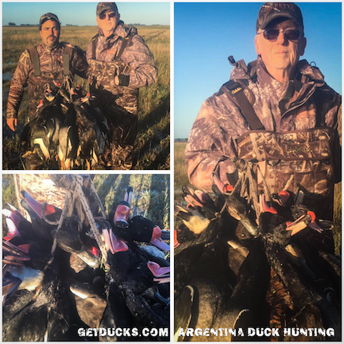 duck hunting argentina