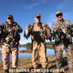 Tours fo rArgentina Duck Hunting