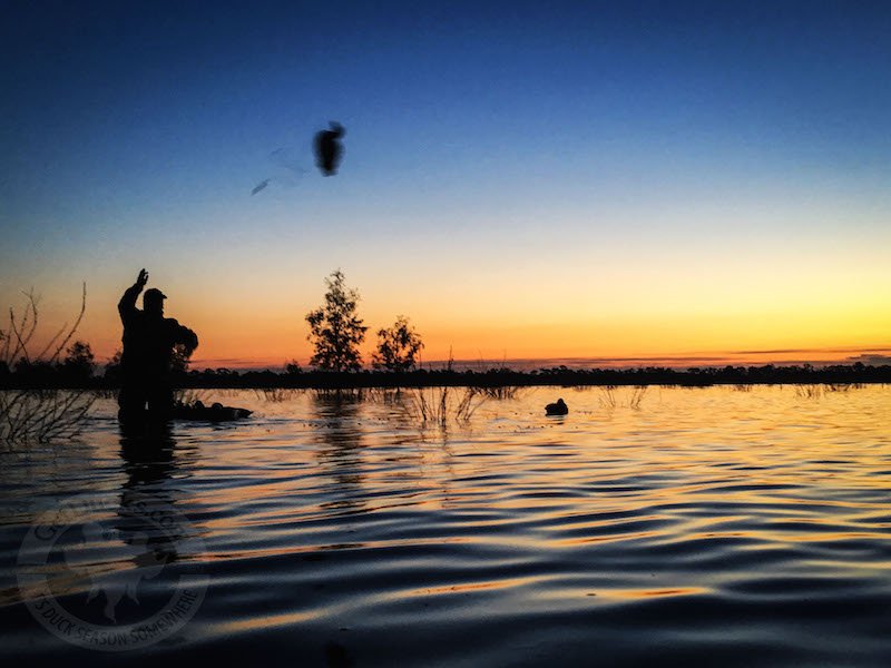 Australia duck hunting