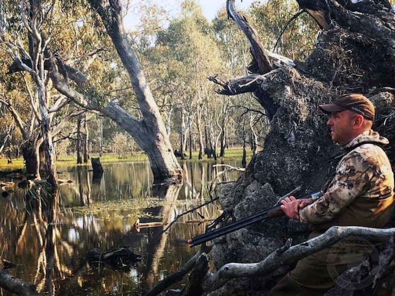australia duck hunting 4818 Ramsey Russell's