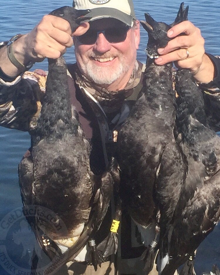 mexico brant hunting