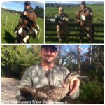 New Zealand Duck Hunting Gallery