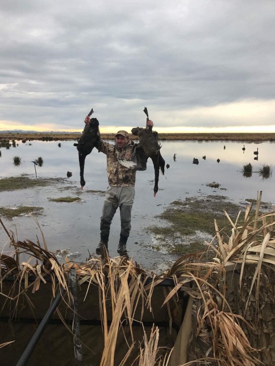 Best New Zealand Duck Hunting