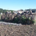 New Zealand Duck Hunting Blinds