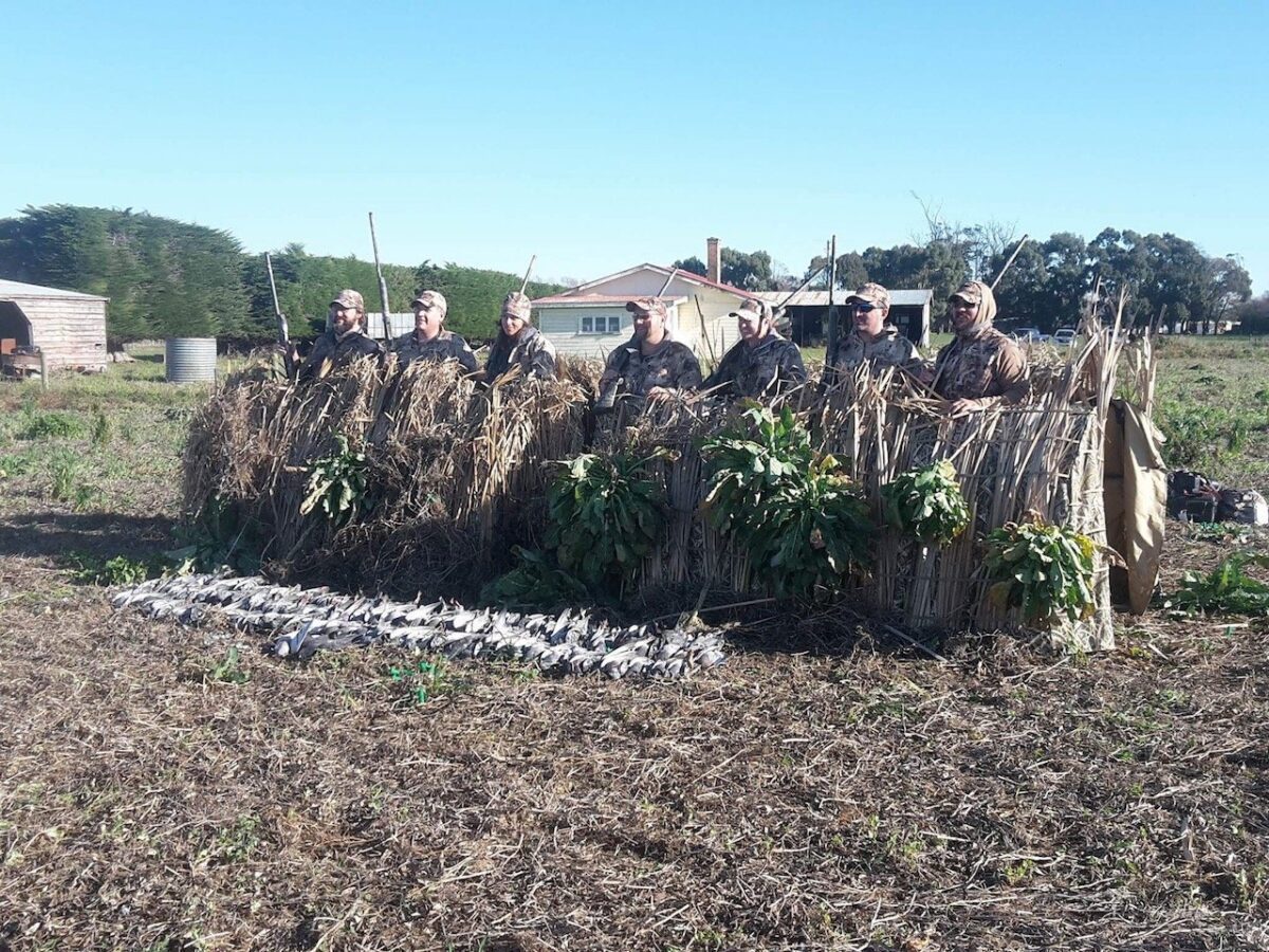 New Zealand Duck Hunting Blinds