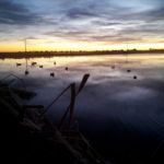 New Zealand Duck Hunting Places
