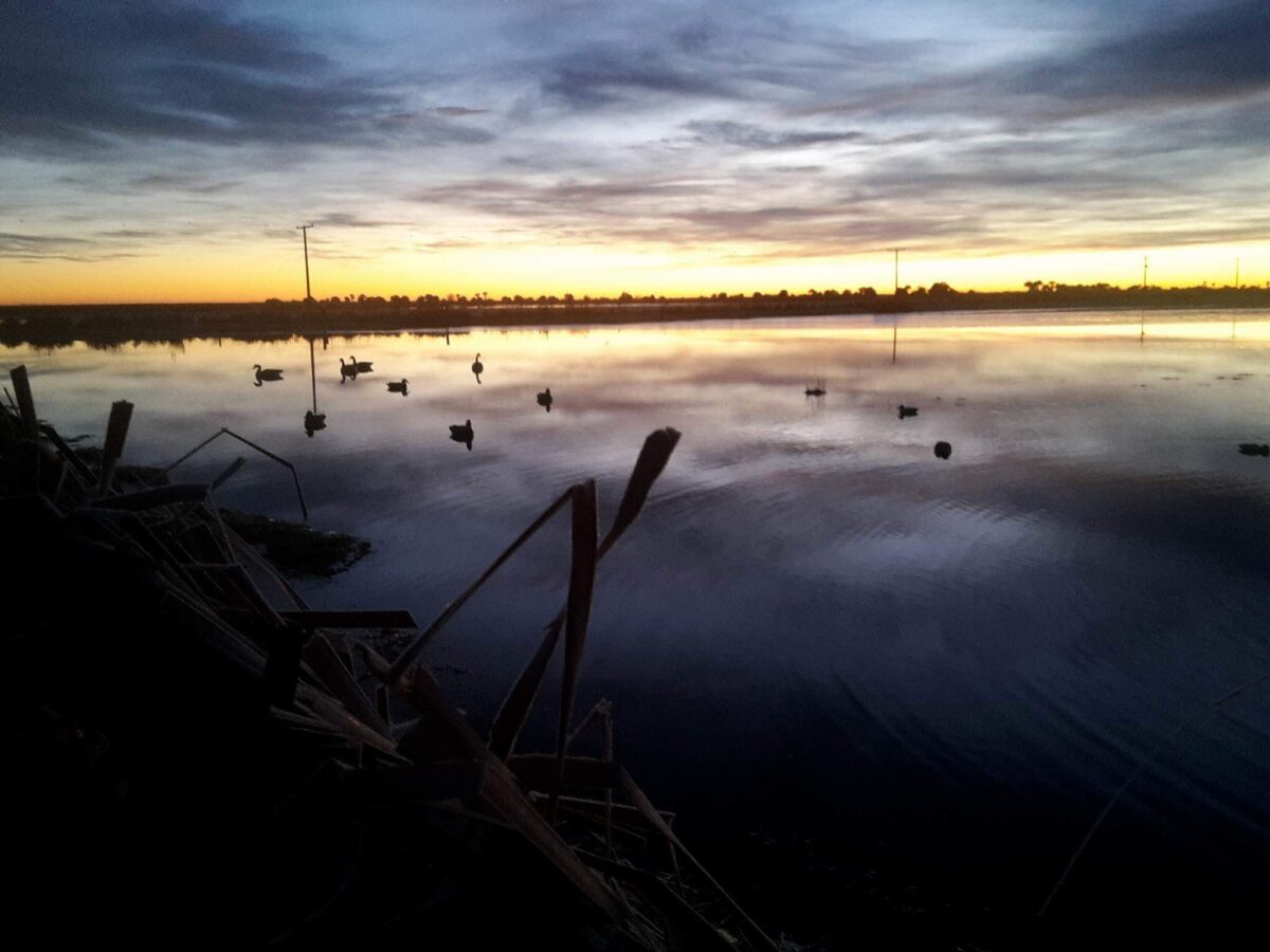 New Zealand Duck Hunting Places