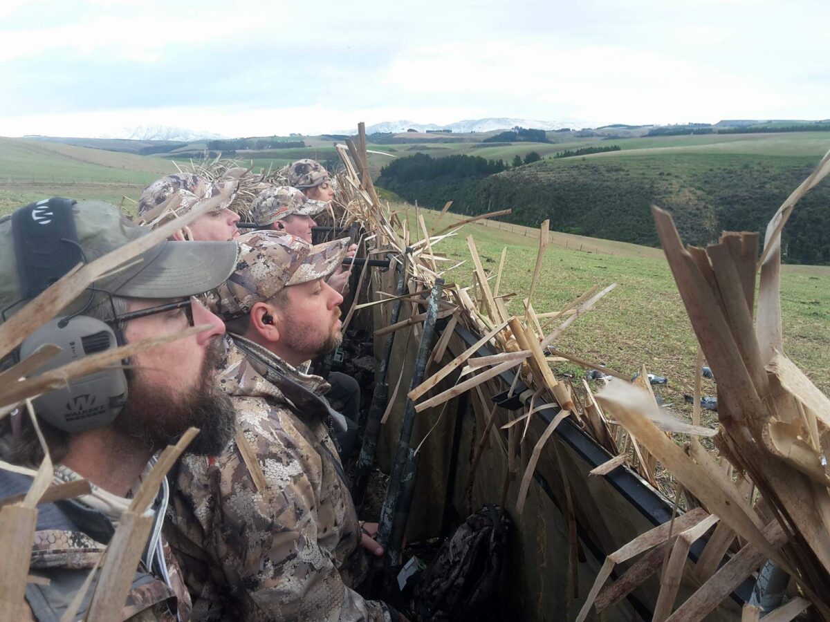 New Zealand Duck Hunting Expeditions