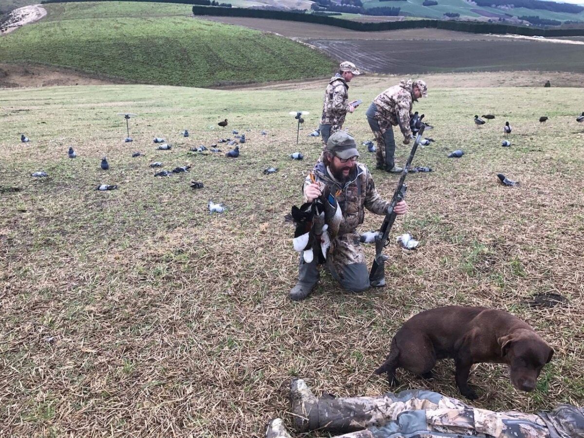 New Zealand Duck Hunting Trips