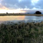 Guided New Zealand Waterfowl Hunts