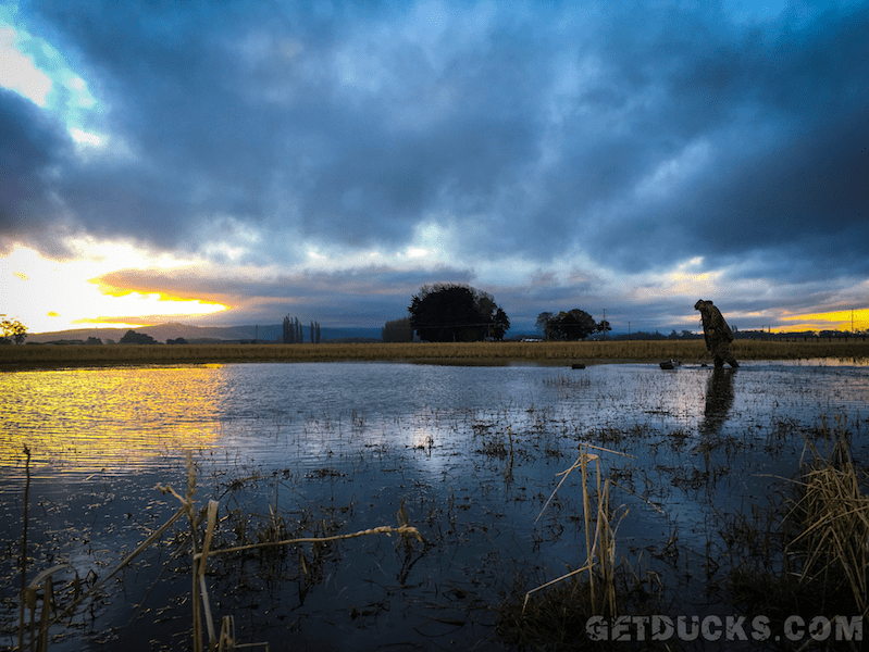 New Zealand Duck Hunting habitats