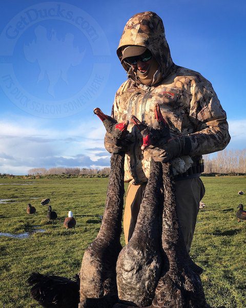 New Zealand Waterfowl Hunting